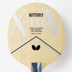 XSTAR V