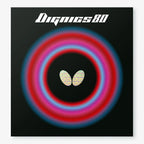 DIGNICS 80