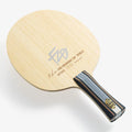 FAN ZHENDONG CNF