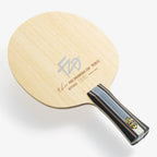 FAN ZHENDONG CNF