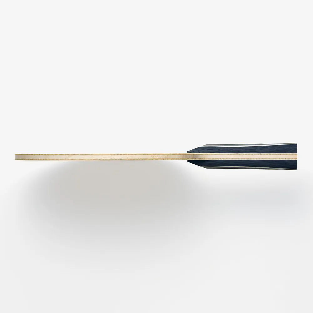 FAN ZHENDONG SUPER ZLC