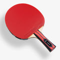 Team Butterfly CHAMPION