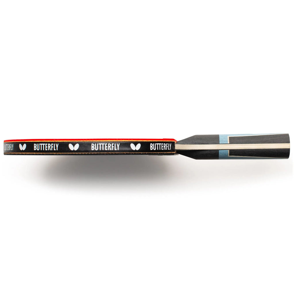 Timo Boll PROGRESS