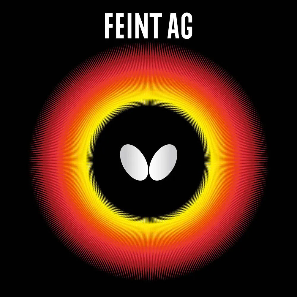 FEINT AG