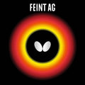 FEINT AG